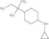 N-Cyclopropyl-4-(2-methylbutan-2-yl)cyclohexan-1-amine