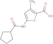 5-Cyclopentaneamido-3-methylthiophene-2-carboxylic acid