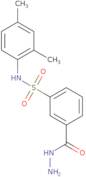 N-(2,4-Dimethylphenyl)-3-(hydrazinecarbonyl)benzene-1-sulfonamide