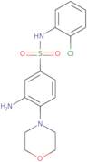 3-Amino-N-(2-chlorophenyl)-4-(morpholin-4-yl)benzene-1-sulfonamide