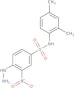 N-(2,4-Dimethylphenyl)-4-hydrazinyl-3-nitrobenzene-1-sulfonamide