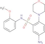 5-Amino-N-(2-methoxyphenyl)-2-(morpholin-4-yl)benzene-1-sulfonamide