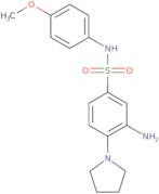 3-Amino-N-(4-methoxyphenyl)-4-(pyrrolidin-1-yl)benzene-1-sulfonamide