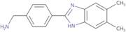 [4-(5,6-Dimethyl-1H-1,3-benzodiazol-2-yl)phenyl]methanamine