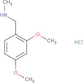 [(2,4-dimethoxyphenyl)methyl](methyl)amine hydrochloride