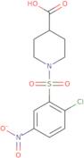 1-(2-Chloro-5-nitrobenzenesulfonyl)piperidine-4-carboxylic acid