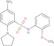 5-Amino-N-(2-methoxy-phenyl)-2-pyrrolidin-1-yl-benzenesulfonamide