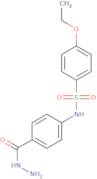 4-Ethoxy-N-[4-(hydrazinecarbonyl)phenyl]benzene-1-sulfonamide