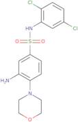 3-Amino-N-(2,5-dichlorophenyl)-4-(morpholin-4-yl)benzene-1-sulfonamide