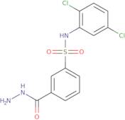 N-(2,5-Dichlorophenyl)-3-(hydrazinecarbonyl)benzene-1-sulfonamide