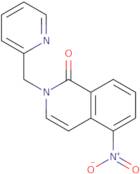 5-Nitro-2-(pyridin-2-ylmethyl)-1,2-dihydroisoquinolin-1-one