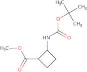 Methyl (1S,2R)-2-(tert-butoxycarbonylamino)cyclobutanecarboxylate