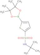 N-tert-Butyl-5-(4,4,5,5-tetramethyl-1,3,2-dioxaborolan-2-yl)thiophene-2-sulfonamide