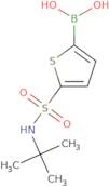 [5-(tert-Butylsulfamoyl)thiophen-2-yl]boronic acid