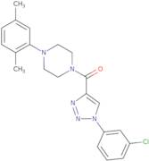 1-{[1-(3-Chlorophenyl)-1H-1,2,3-triazol-4-yl]carbonyl}-4-(2,5-dimethylphenyl)piperazine