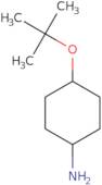 4-(tert-Butoxy)cyclohexan-1-amine