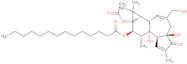 2-{3-[5-(2-Hydroxypropan-2-yl)-1H-1,3-benzodiazol-1-yl]phenyl}benzamide