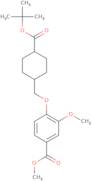3-[(3,4-Ethylenedioxy)phenyl]-2-methyl-1-propene