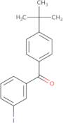 4-tert-Butyl-3'-iodobenzophenone