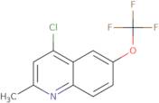 4-Chloro-2-methyl-6-(trifluoromethoxy)quinoline