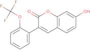 7-Hydroxy-3-[2-(trifluoromethoxy)phenyl]-2H-chromen-2-one