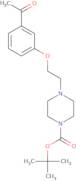 3-[2-(4-tert-Butoxycarbonylpiperazin-1-yl)ethoxy]acetophenone