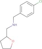 (4-Chloro-benzyl)-(tetrahydro-furan-2-ylmethyl)-amine