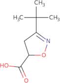 3-tert-Butyl-4,5-dihydro-1,2-oxazole-5-carboxylic acid