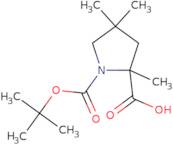 1-(tert-Butoxycarbonyl)-2,4,4-trimethylpyrrolidine-2-carboxylic Acid