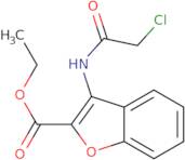 Ethyl 3-[(chloroacetyl)amino]-1-benzofuran-2-carboxylate