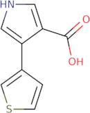 4-Thien-3-yl-1H-pyrrole-3-carboxylic acid