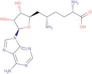 Sinefungin