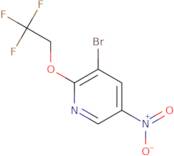 3-Bromo-5-nitro-2-(2,2,2-trifluoroethoxy)-pyridine