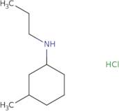 3-Methyl-N-propylcyclohexanamine hydrochloride