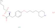 Tirofiban HCl monohydrate - Bio-X ™