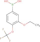 3-Ethoxy-4-(trifluoromethoxy)phenylboronic acid