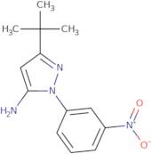 3-tert-Butyl-1-(3-nitrophenyl)-1H-pyrazol-5-amine