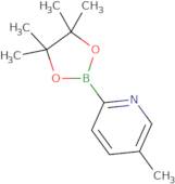 5-Methylpyridine-2-boronic acid pinacol ester