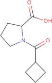 (2S)-1-Cyclobutanecarbonylpyrrolidine-2-carboxylic acid