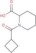 1-(Cyclobutylcarbonyl)-2-piperidinecarboxylic acid