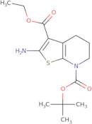 7-(tert-Butyl) 3-ethyl 2-amino-5,6-dihydrothieno[2,3-b]pyridine-3,7(4H)-dicarboxylate