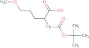 2-{[(tert-Butoxy)carbonyl]amino}-5-methoxypentanoic acid