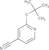2-(tert-Butylsulfanyl)pyridine-4-carbonitrile