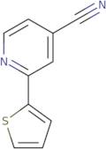 2-Thien-2-ylisonicotinonitrile