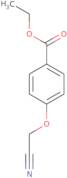 Ethyl 4-(cyanomethoxy)benzoate