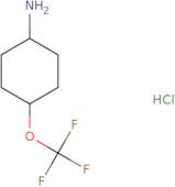 4-Trifluoromethoxy-cyclohexylamine hydrochloride