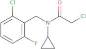 2-Chloro-N-(2-chloro-6-fluoro-benzyl)-N-cyclopropyl-acetamide