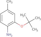 2-(tert-Butoxy)-4-methylaniline