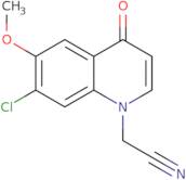 2-Chloro-N-isopropyl-N-(2-methoxy-benzyl)-acetamide