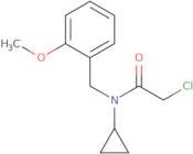 2-Chloro-N-cyclopropyl-N-(2-methoxy-benzyl)-acetamide